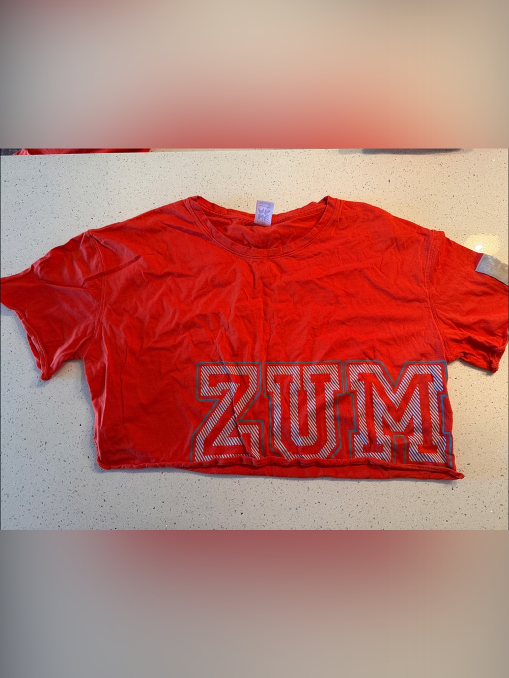 Zumba Fitness Red Crop Top with Bold ZUM Graphic